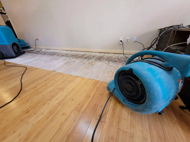 Professional Structural Drying technician working in Hancock, MD